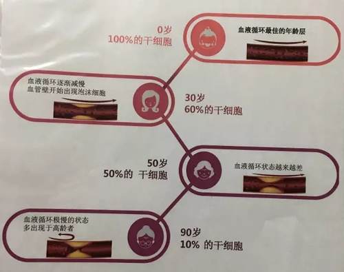 干细胞的功效示意图 干细胞的功效示意图