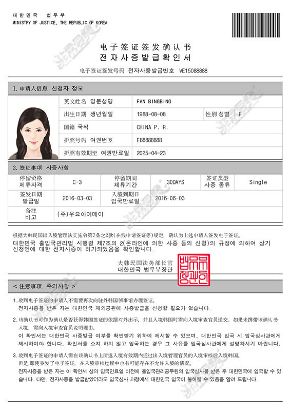 韩国电子医疗签证
