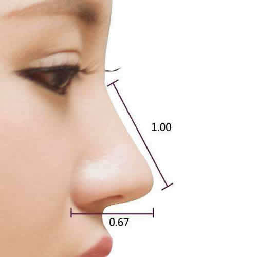 鼻部 胸部 眼眉 身体塑形 抗衰老 皮肤 其他  好看的鼻子,并不是说把