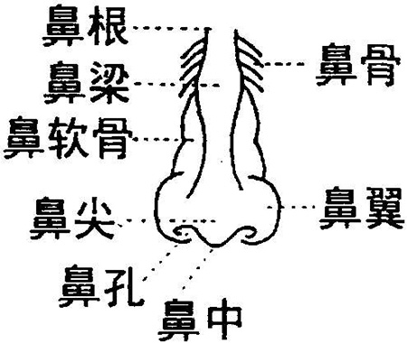 找唐山苏亚美联臣李春雷医生做的鼻综合浑然天成！