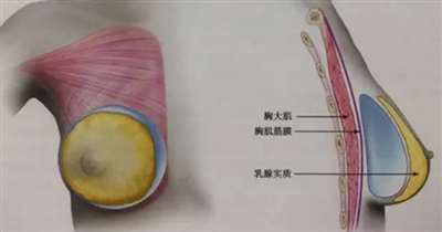 沈阳隆胸技术好的医院名单大全，这几家就你知道哪些？