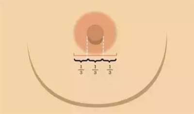 乳頭黃金比例