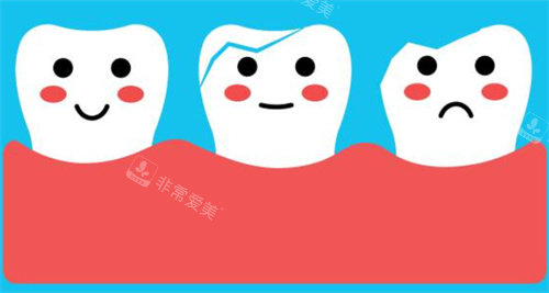 牙齿萌萌图