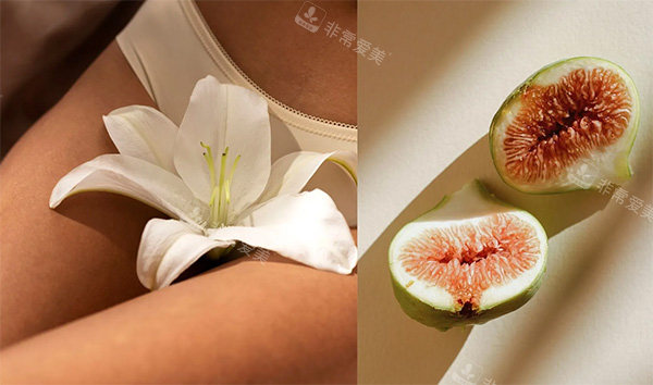 女性私密整形示意变化图