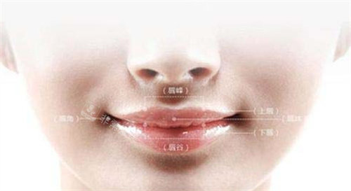 人中窝卡通图