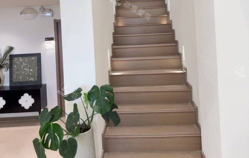 济南市悦荟丽格整形步梯出示意图