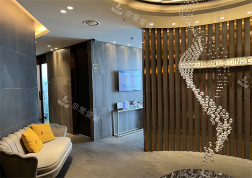 韩国the cell皮肤科江南店环境