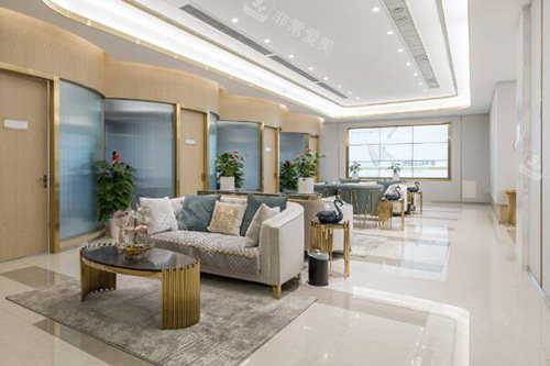 武汉匠歆天巧医疗美容如何