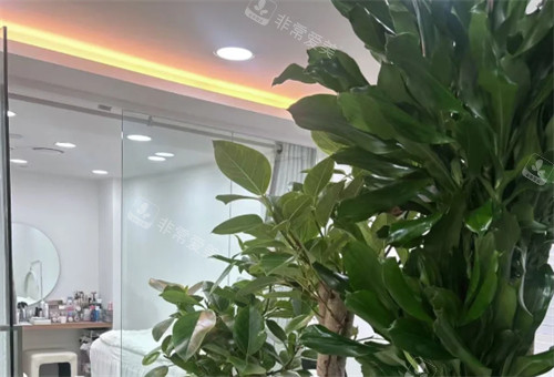 韩国上熹美业环境怎么样