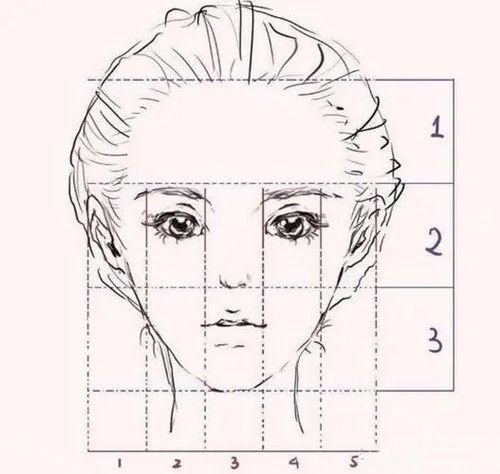 面部美学比例.webp