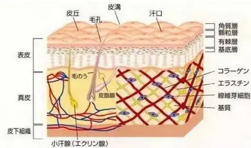 韩国lamar医院首尔大入口站皮肤科怎么样?点击看地址与预约攻略!