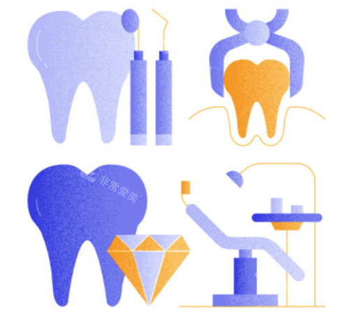 种植牙各个模型图