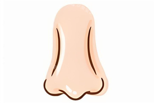 鼻子的卡通图片 鼻子的卡通图片