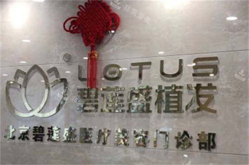 北京碧莲盛植发品牌墙 北京碧莲盛植发品牌墙