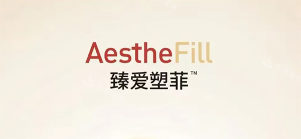 臻爱塑菲怎么样