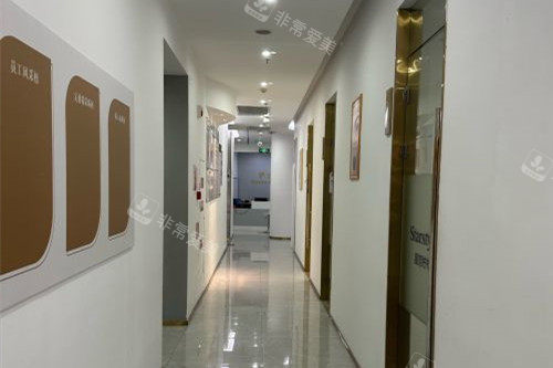 宁波星范柠栎整形走廊图