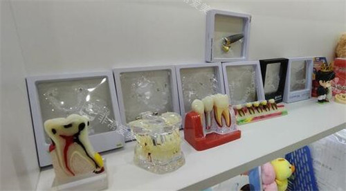 广州牙德堡口腔材料展示