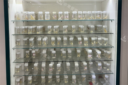 广州广大整形医院展柜