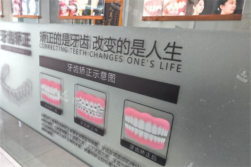 兴化三叶草口腔环境