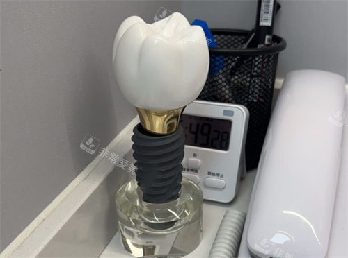 种植牙单颗模型