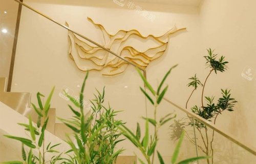 深圳伽美贝拉整形楼梯处示意图