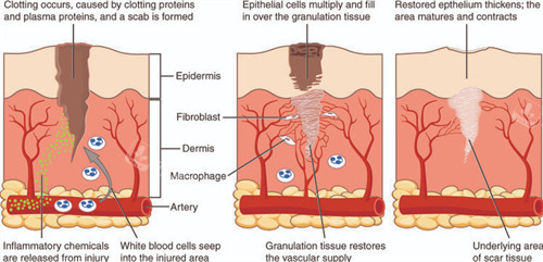 改善皮肤色素疤痕 改善皮肤色素疤痕