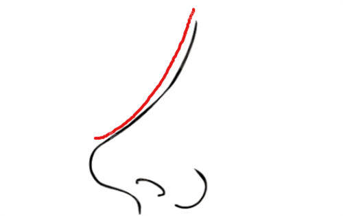 鼻部曲线调整展示图