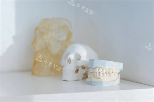 牙齿材料展示