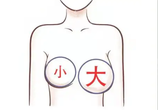 大小胸