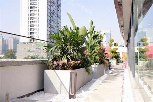 成都晶肤医疗美容内部环境图