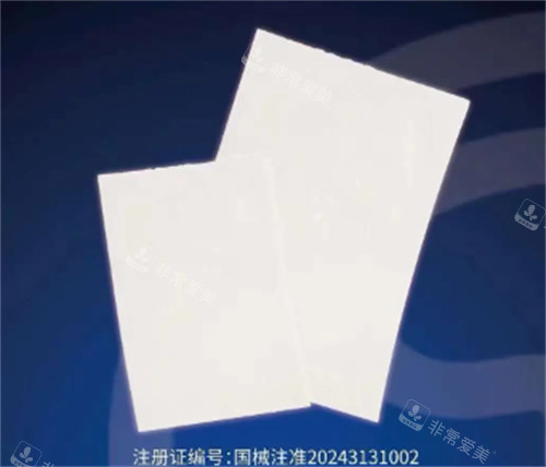 阴茎生物补片材料