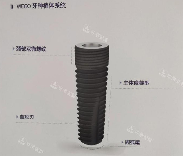 威高wego种植牙颈部双位螺纹细节照片