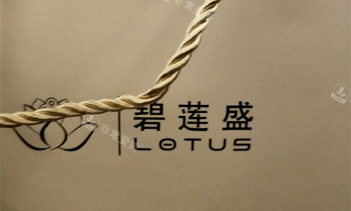 北京碧莲盛植发医院资料的包装袋