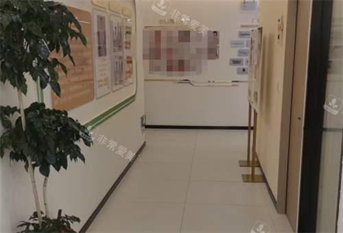 广东惠州皇佳蝶美医美走廊