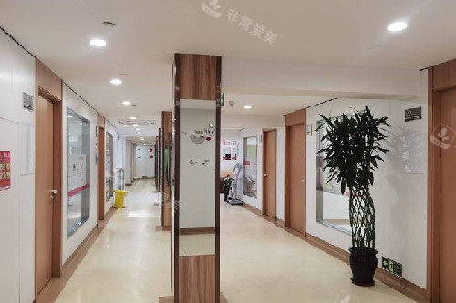 上海康沈口腔走廊环境