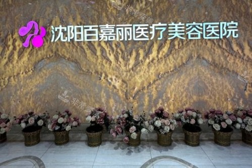 沈阳百嘉丽医疗美容医院招牌 沈阳百嘉丽医疗美容医院招牌