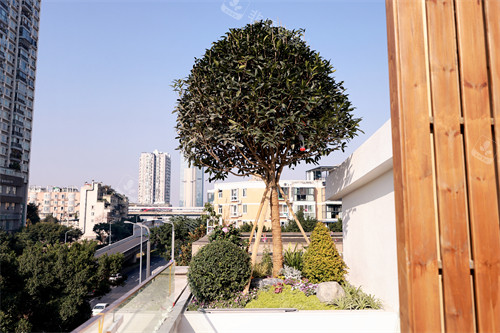 成都晶肤医疗美容环境一角