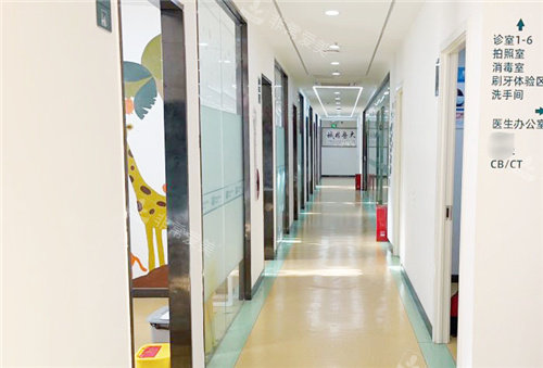 郑州紫贝壳口腔素材