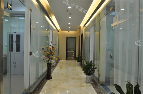 太原丽都医疗美容医院有限公司过道环境