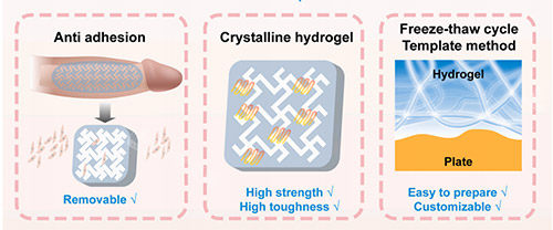 生物补片增大增粗照片 生物补片增大增粗照片