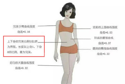 肚脐整形美学理念 肚脐整形美学理念