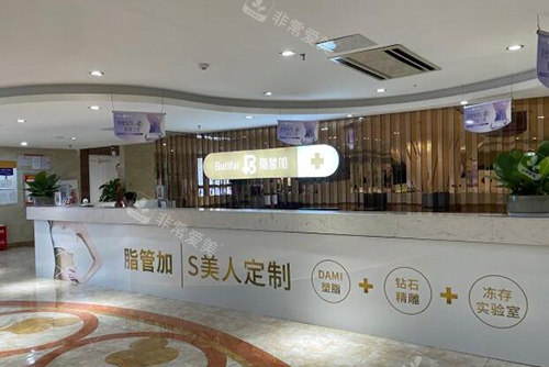 泉州脂管加医疗美容