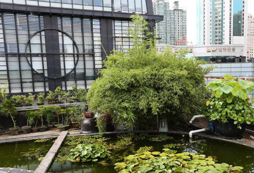 上海华美口腔外景环境