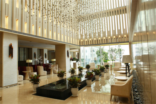 成都华美紫馨大厅一览图