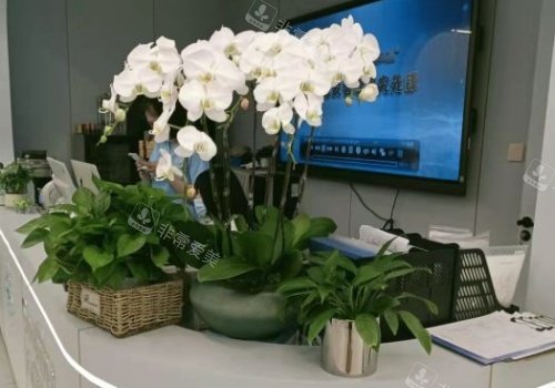 成都丝恒植发服务区示意图