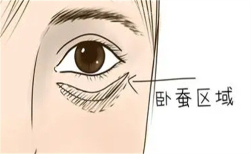 臥蠶所在區(qū)域 臥蠶所在區(qū)域