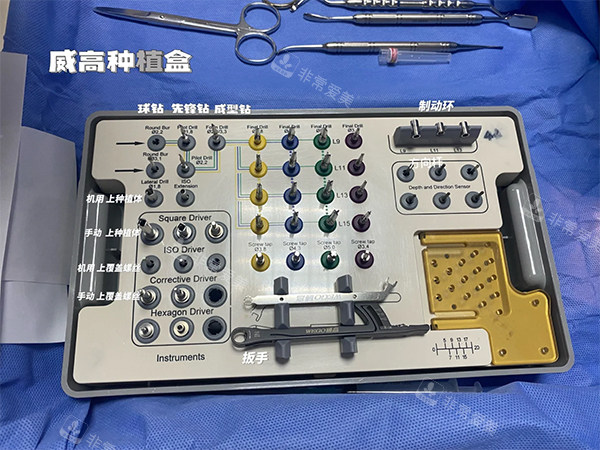 威高wego种植牙种植盒