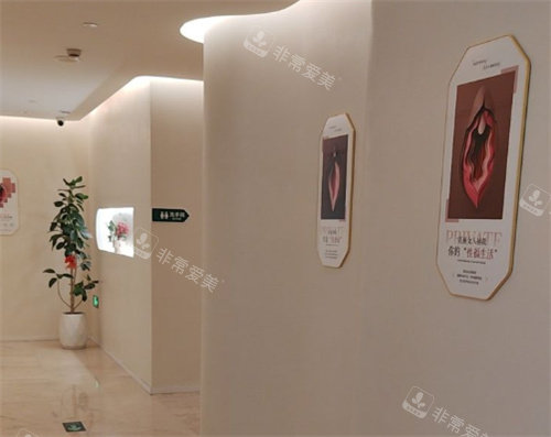 温州云美医美内部走廊环境