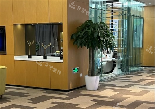 南京艺星整形大厅一角