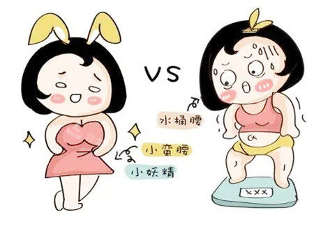 吸脂对比卡通图